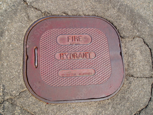 fire hydrant cover