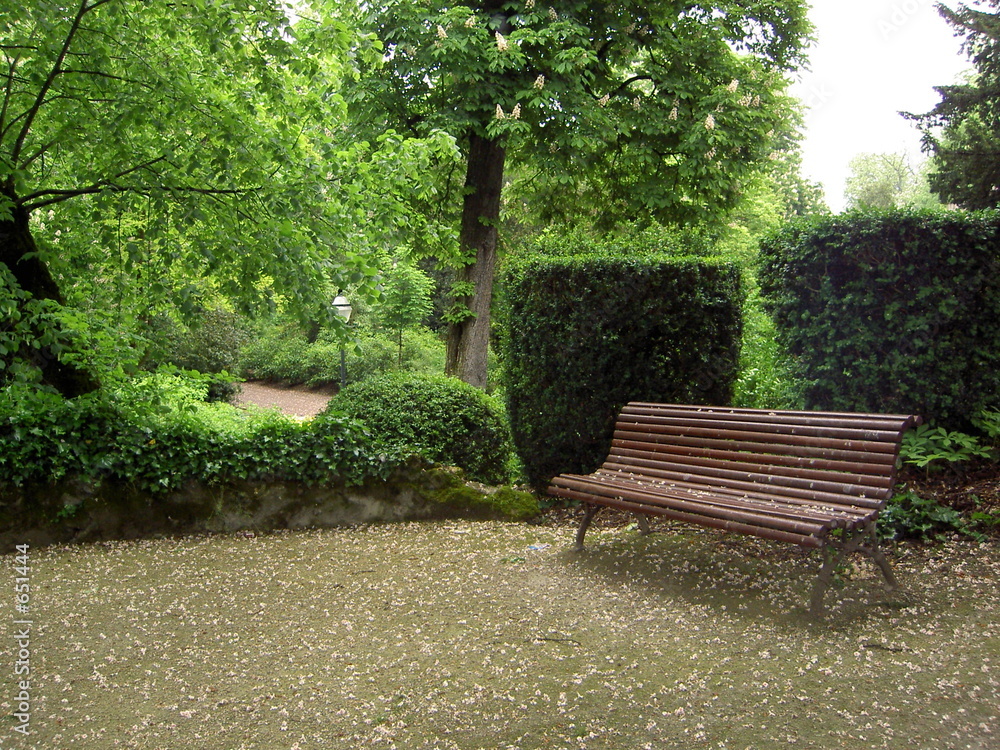 bancs dans un parc