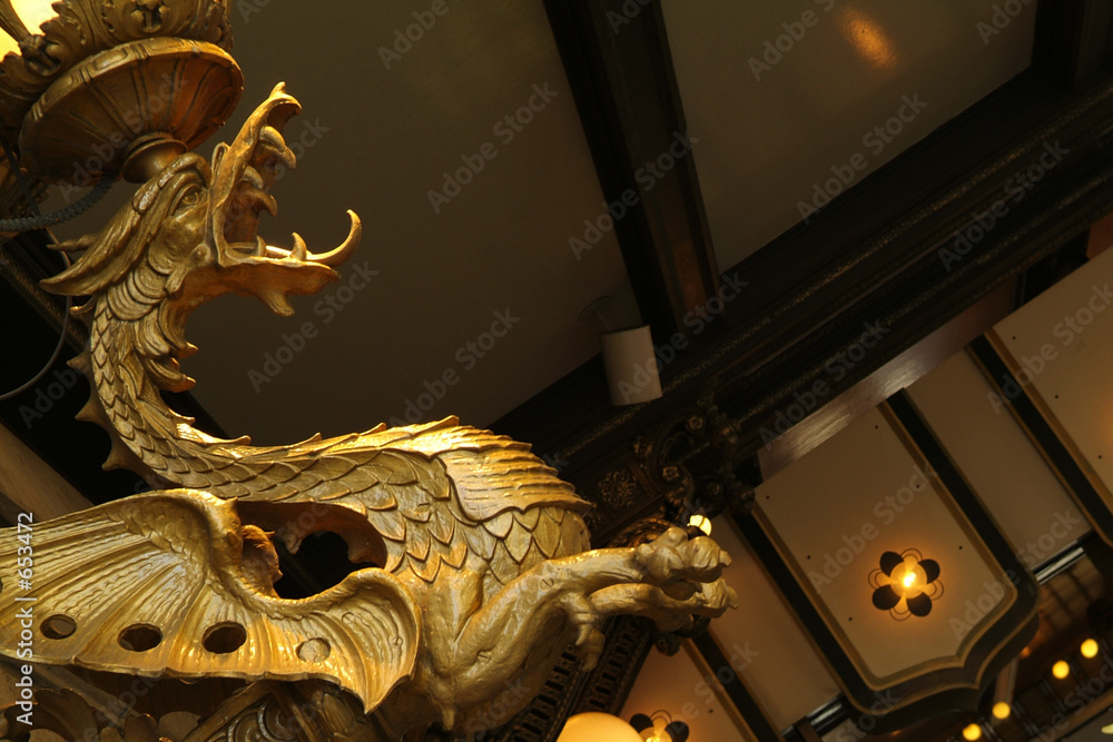 Fotografie drake dragon