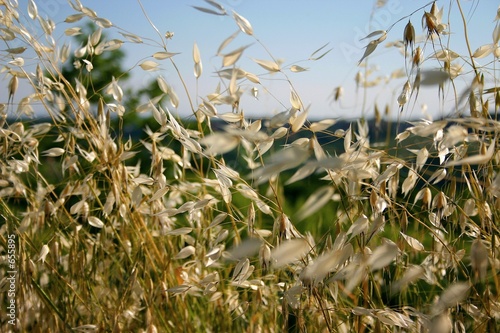 moved by wind