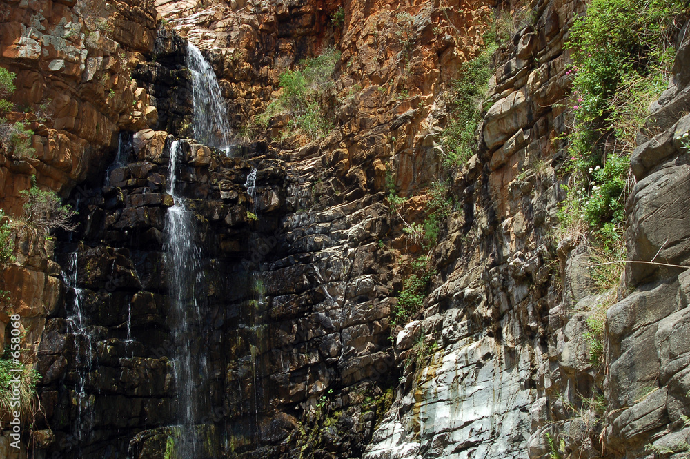 Fototapeta premium morialta falls #1
