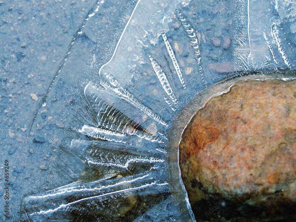 ice flower