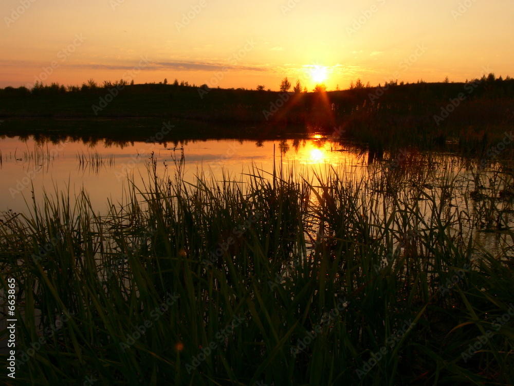 dawn dawn