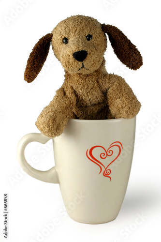 puppy in cup