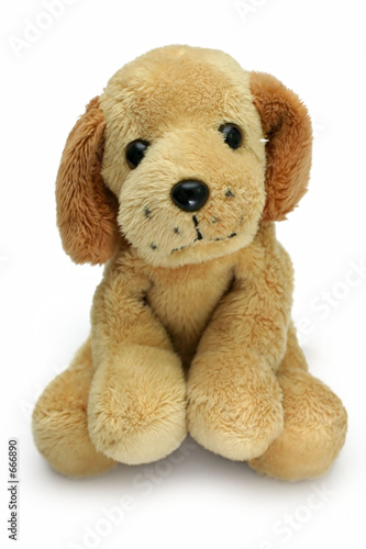 soft-toy dog