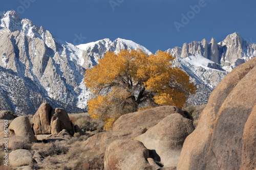 mt. whitney from the alabama hills