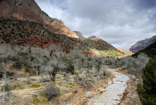 virgin river: zion national park, utah