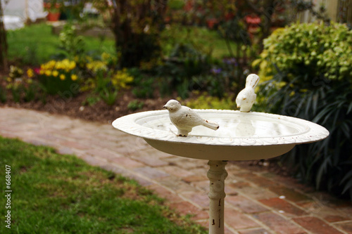 bird bath