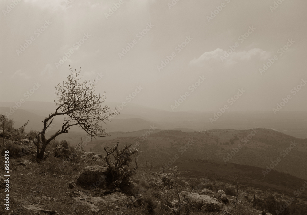 Photography biblical landscape