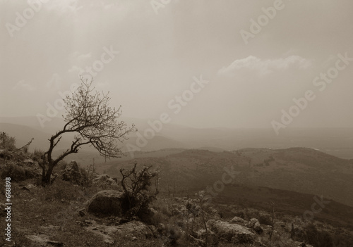 biblical landscape
