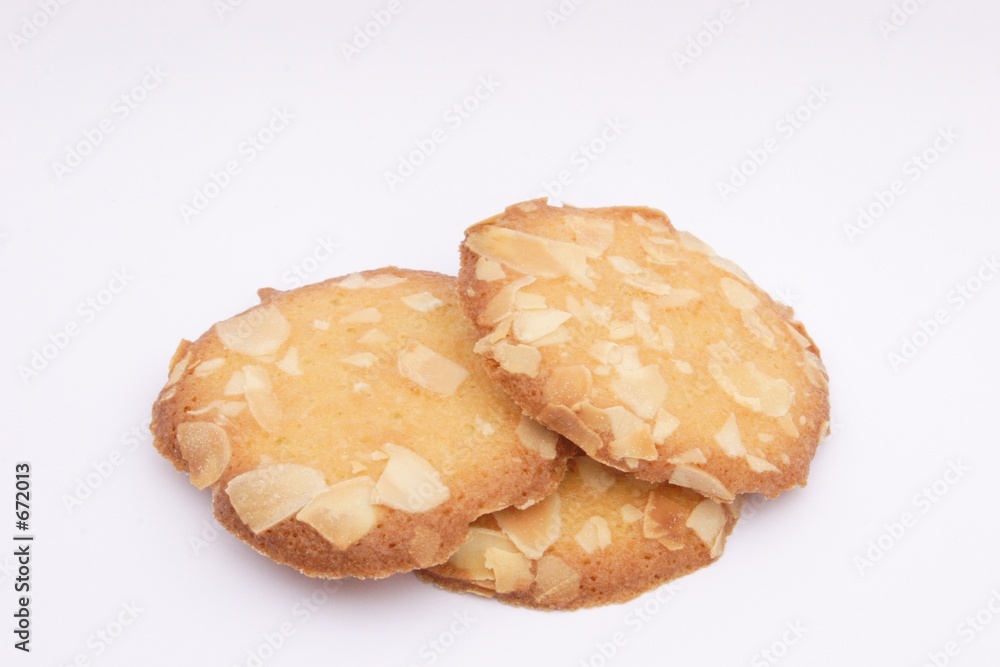 biscuit 2 biscuit 2
