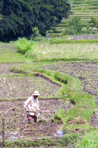 mann bei der feldarbeit, asien - insel bali