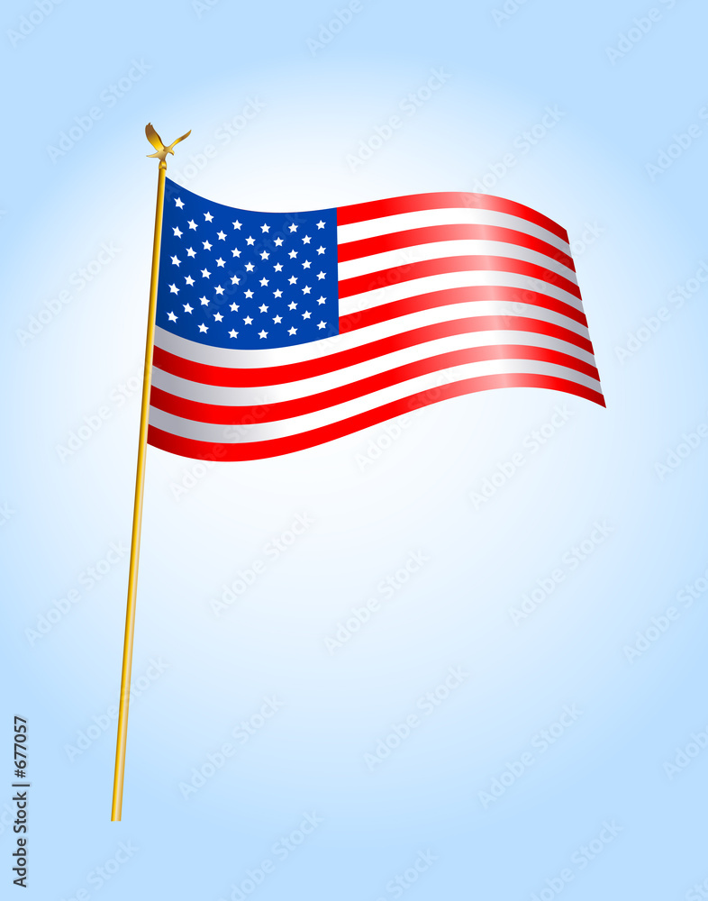 Fototapeta premium flag usa - 1