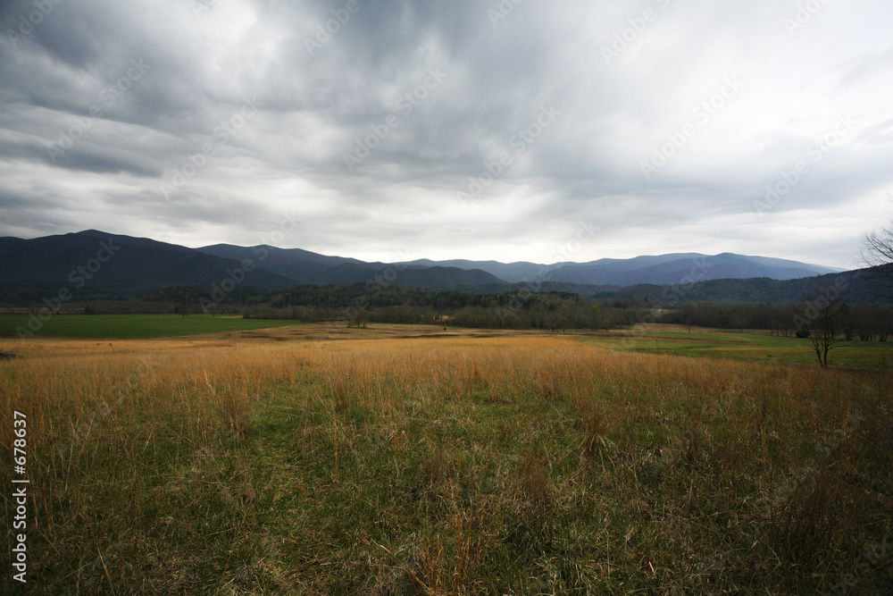 spring mountain meadow storm spring mountain meadow storm