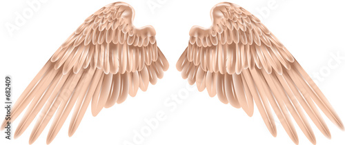 wings