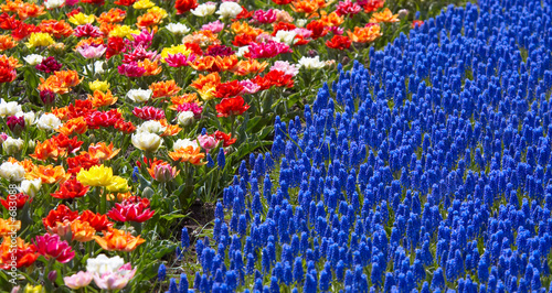 colors of spring