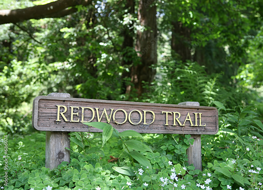 redwood trail (focus on redwood on sign)