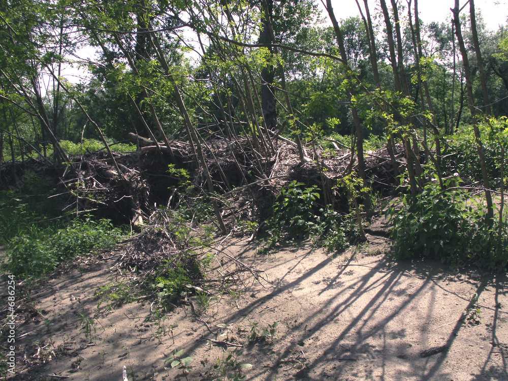 Fototapeta premium rheinaue nach hochwasser