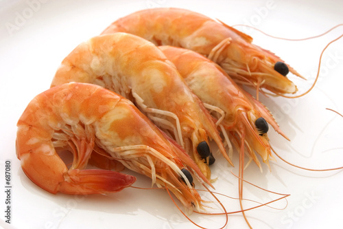 prawns