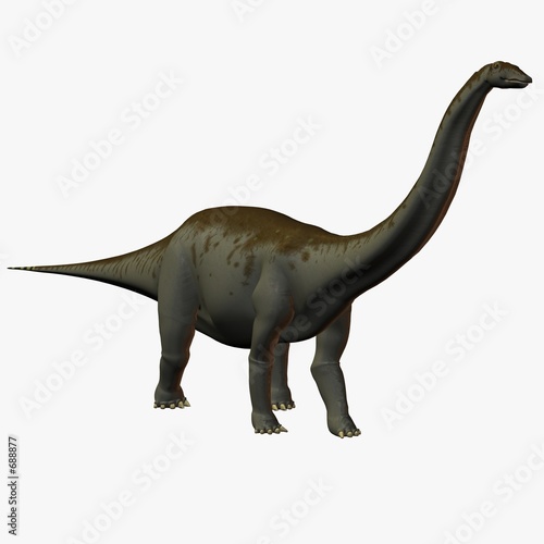 apatosaurus © Andreas Meyer