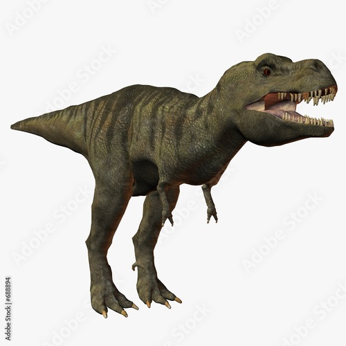 tyrannosaurus rex © Andreas Meyer