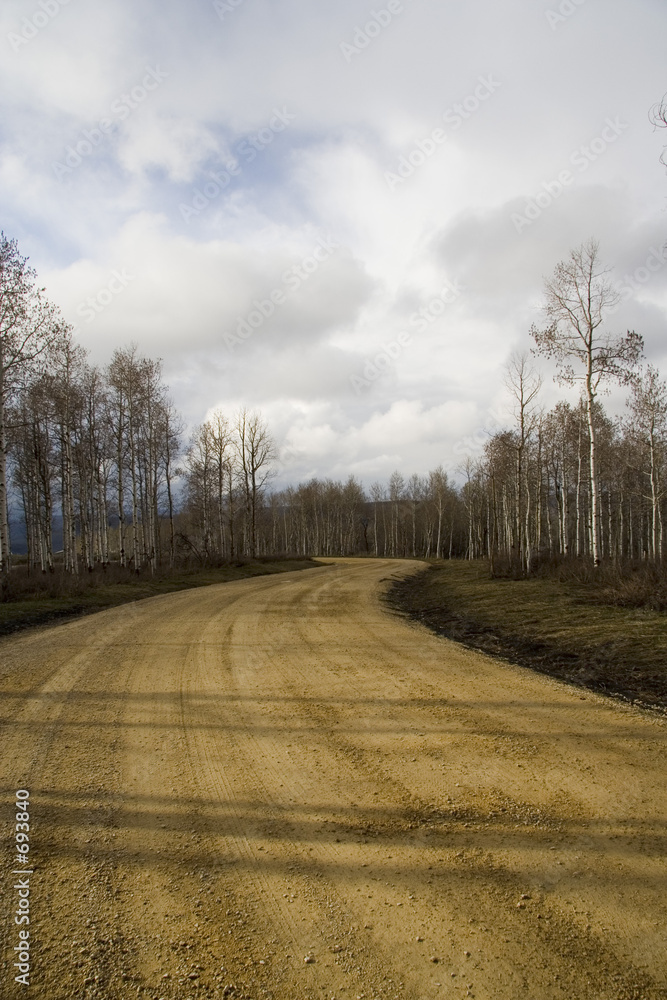 Εκτύπωση καμβά quaking aspens along dirt road