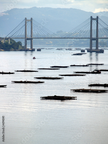 bateas y puente