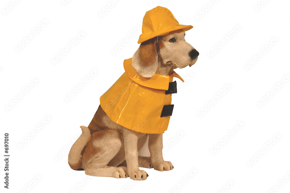 Foto dog statue in raincoat