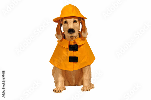 Photography dog statue in raincoat