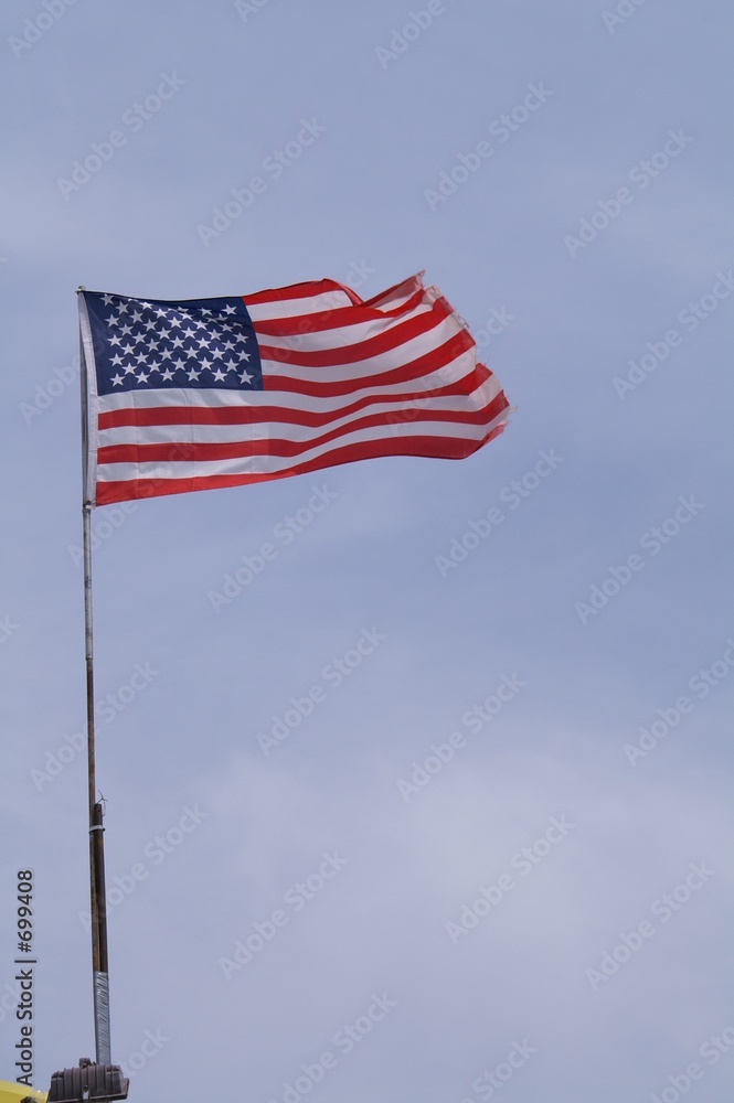 usa flag