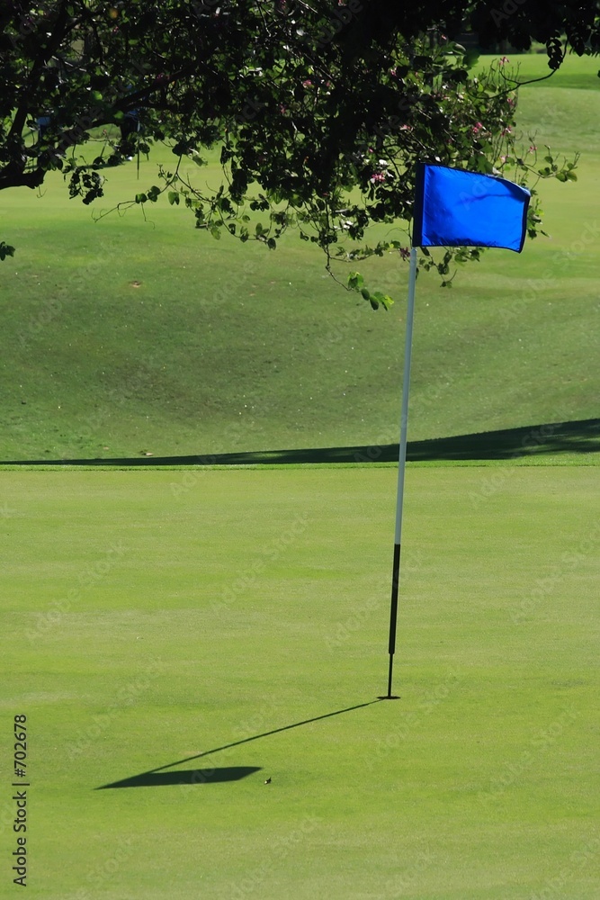 Obraz premium golf field
