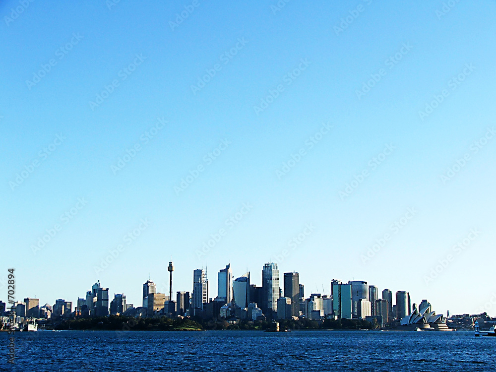 Fototapeta premium sydney view