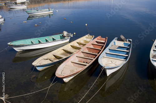 boats in harbor photo