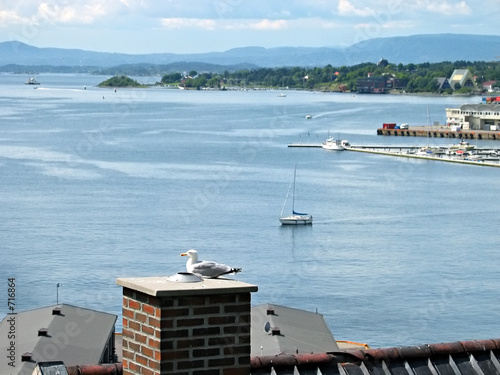 summer oslo fjord