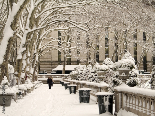 Photography bryant park in winter