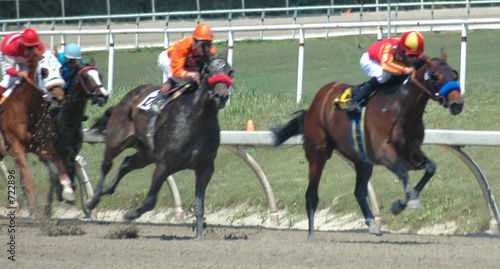 race horses in the stretch