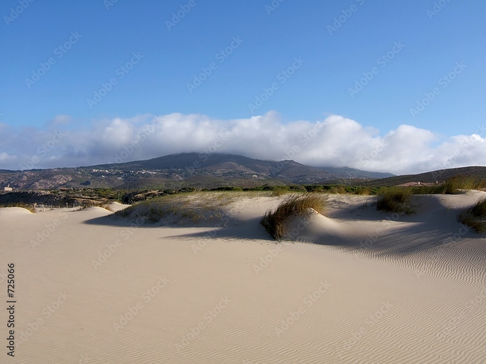 beach dunes