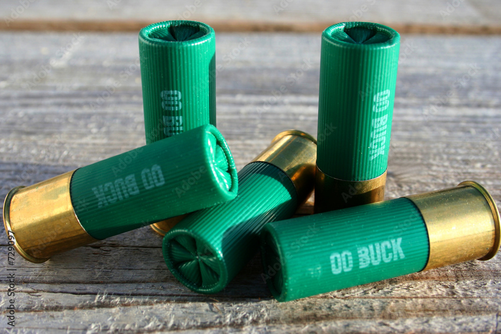 Fotografie 00 buck 5
