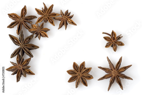 aniseed