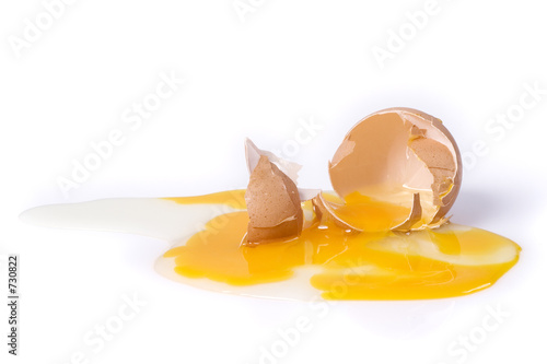 broken egg