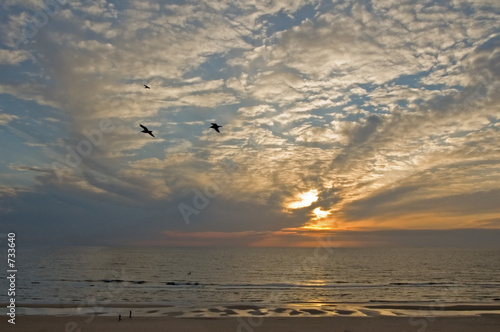 sunset
