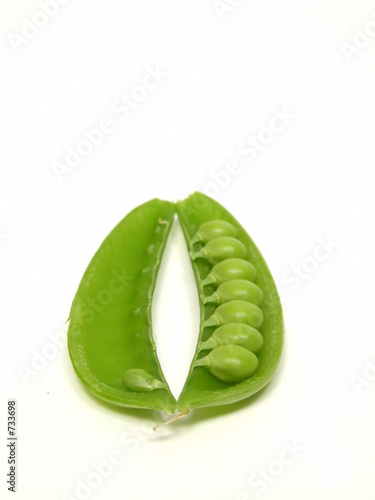 opened sweet pea photo