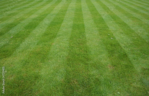 lawn cut with stripes