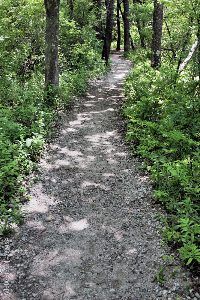 footpath footpath