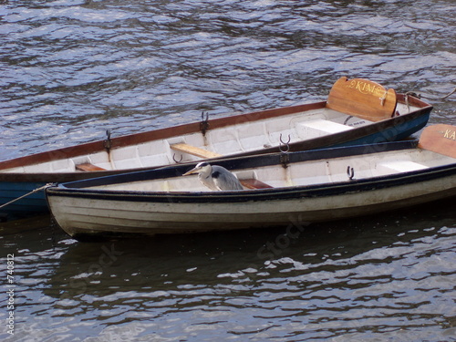 two boats & a heron 3
