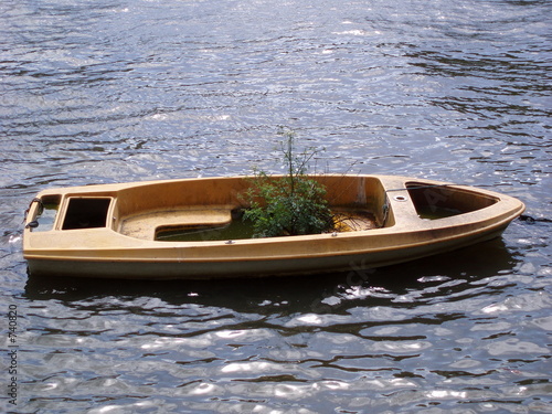 a tree in a boat