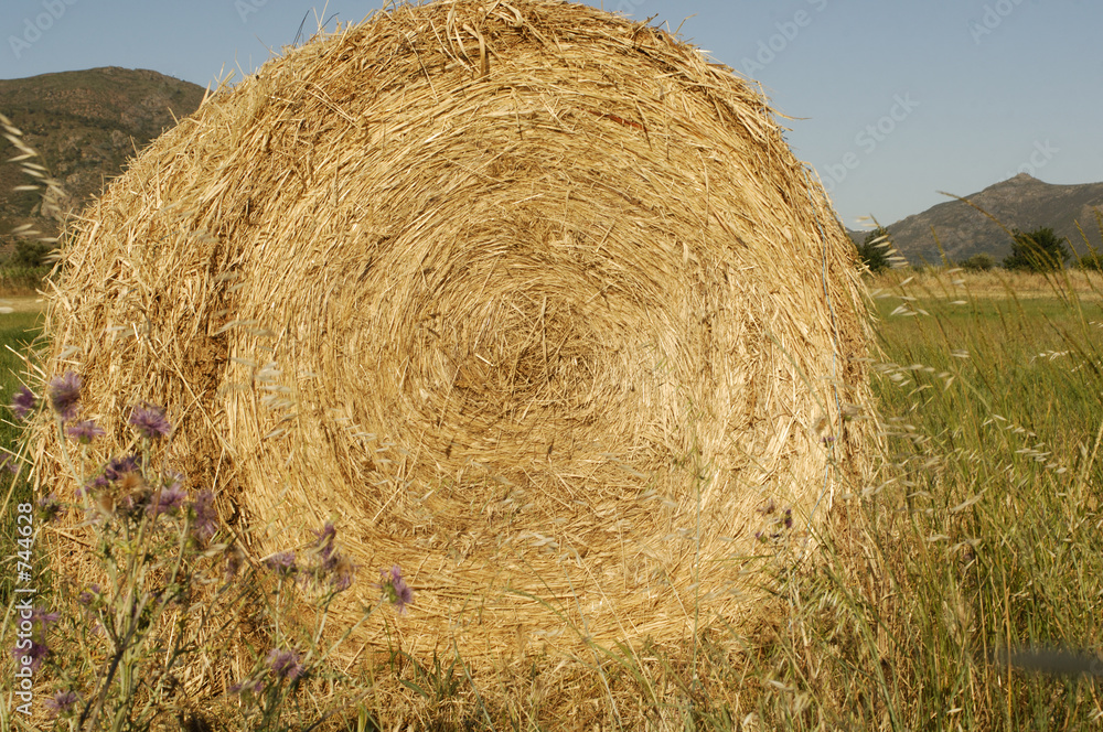 bale of hay 2