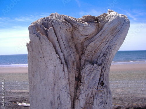 bois de mer