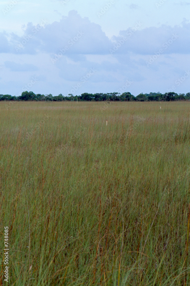 everglades everglades