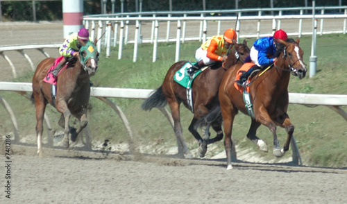 three racehorses in the stretch